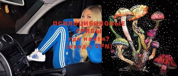 соль ск Касимов