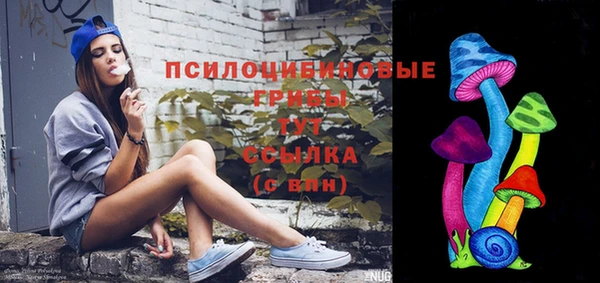 a pvp Карпинск