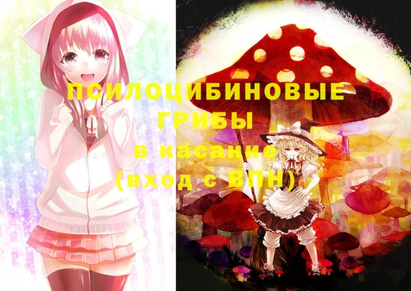 соль ск Касимов