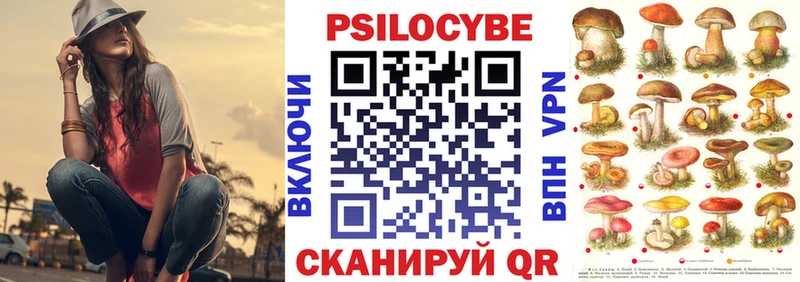 Псилоцибиновые грибы GOLDEN TEACHER  Купить где  Шелехов 