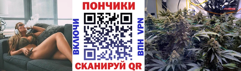 Канабис SATIVA & INDICA Шелехов